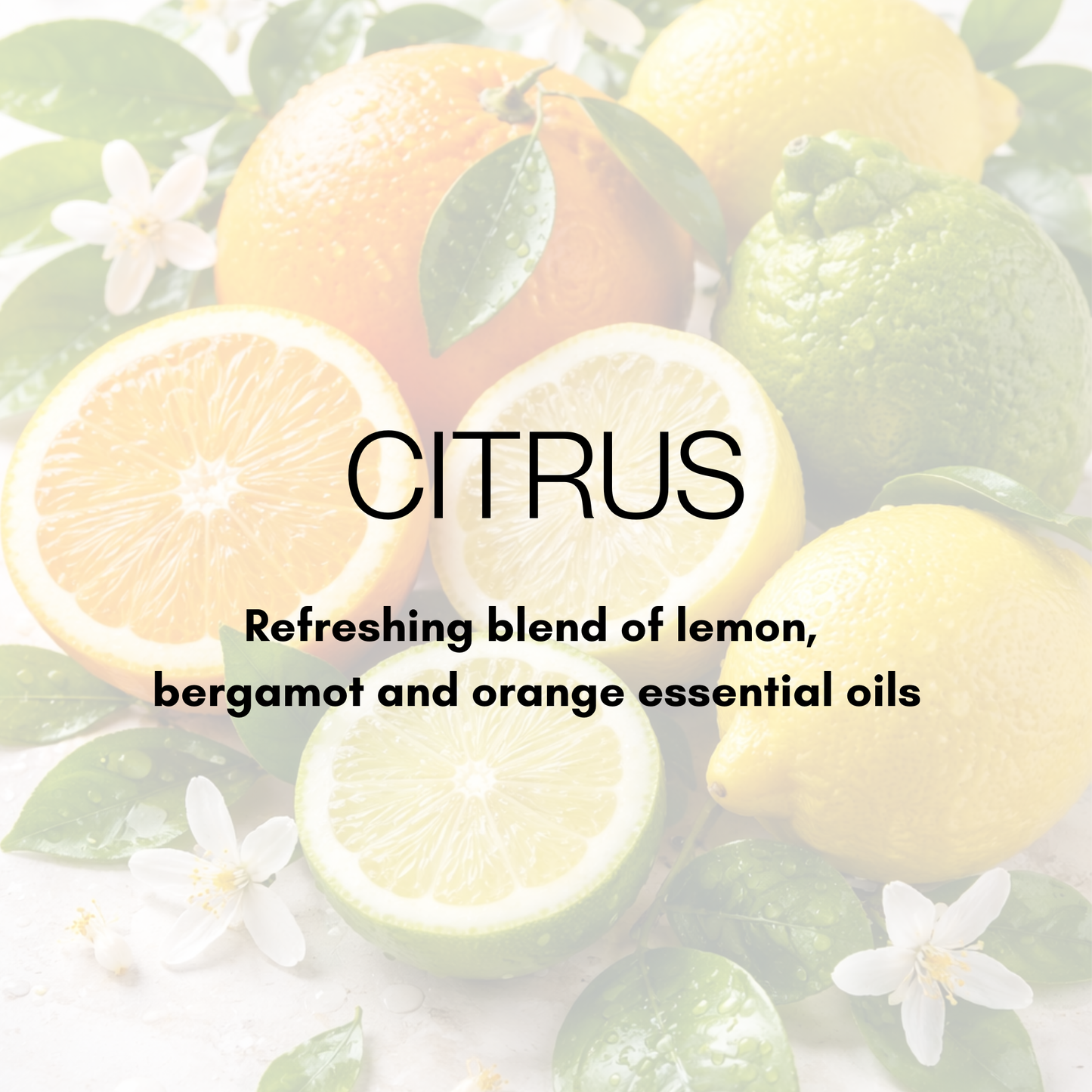 Whipped Suet Tallow - Face and Body Cream with Organic Jojoba Oil & Essential Oils