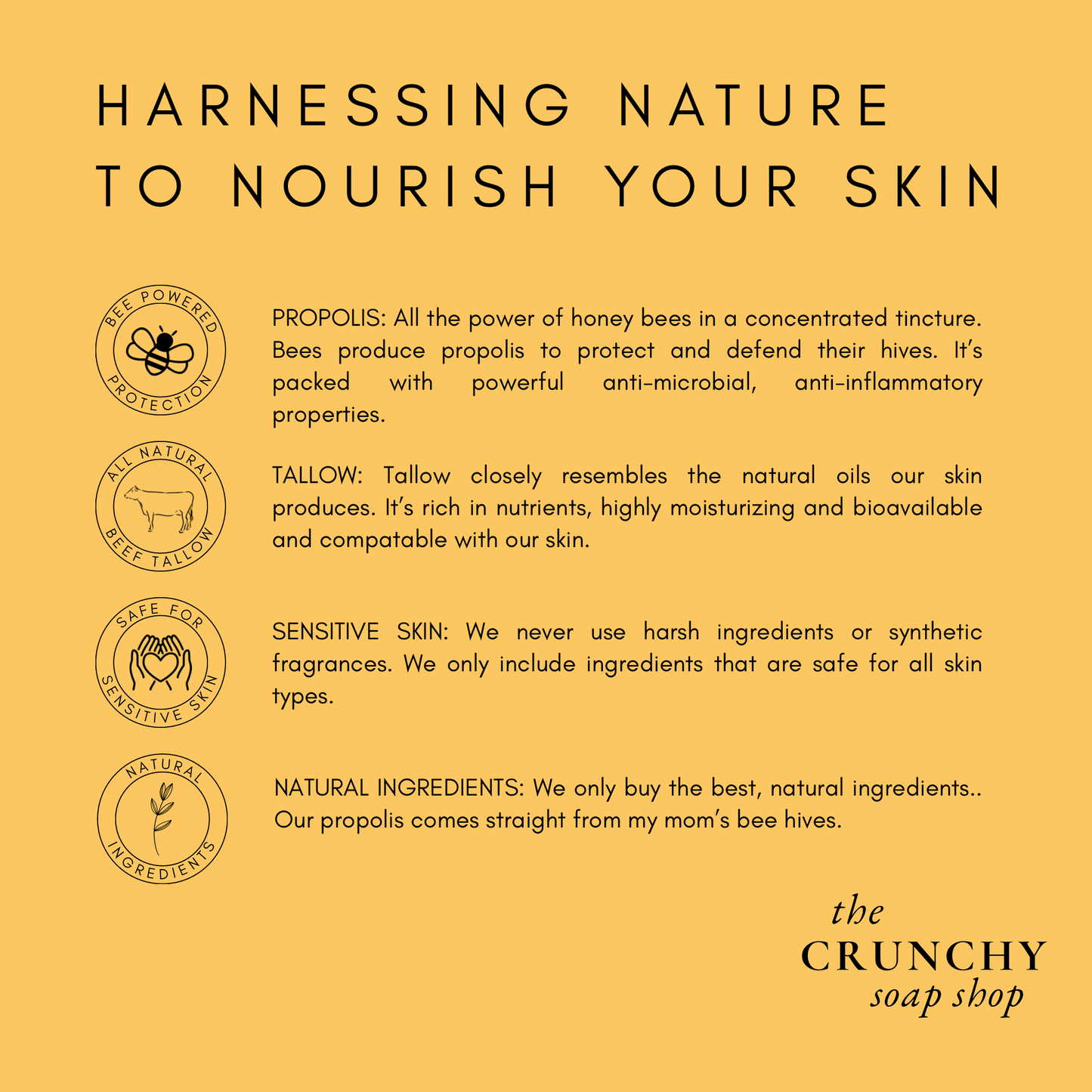 Magnesium Lotion | Tallow Body Butter with Magnesium Oil | Grass Fed Suet Tallow, Shea & Beeswax | Natural Skin Care, Minerals