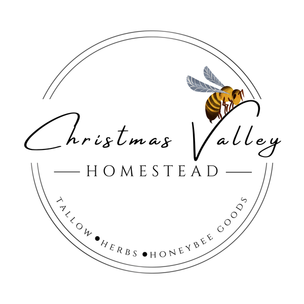 Christmas Valley Homestead
